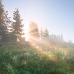 lifelong-learning-–-keep-your-inner-light-burning